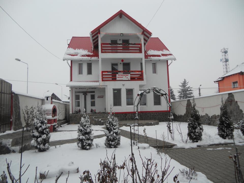 Pensiunea D&D Făgăraş Extérieur photo